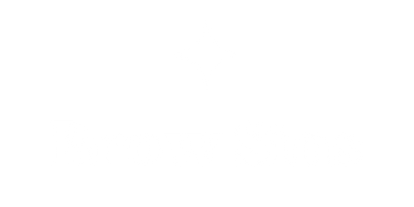 Brow Sins Pro LLC
